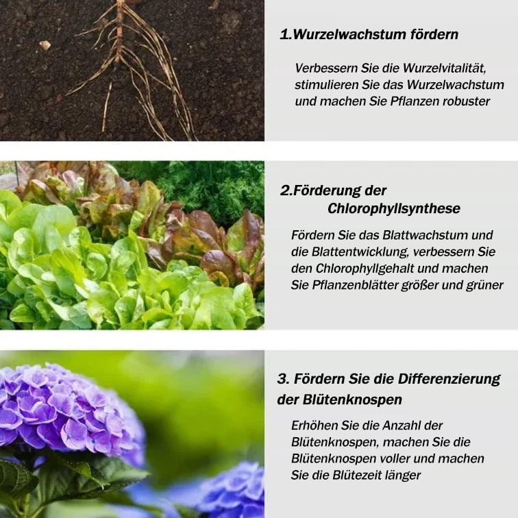 š„All-purpose slow-release fertilizer for plants-W18