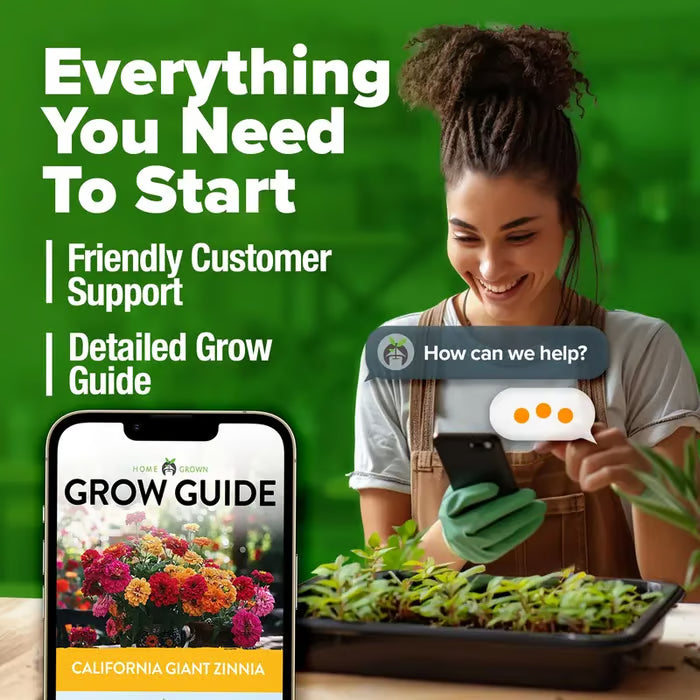 🌸 Spring flowers are preferred🌿Zinnia Seeds - Pure Seeds - No Filler - USA Heirloom Flower Seeds-TJY