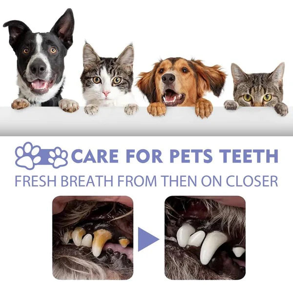 Pet Oral Care Spray – Fresh Breath & Cleaner Teeth, No Brushing Needed-W18