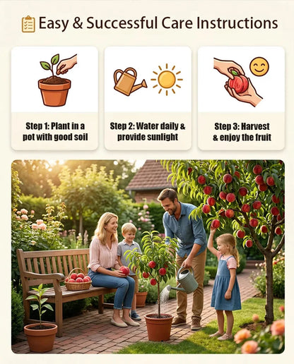 🔥50K+ SOLD!💟 Premium Pink Peach Seeds - 😋A Uniquely Delightful Taste-923