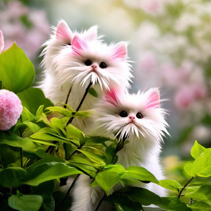 🔥Amazing Plants! 🌈🐱Cat's Eye Dazzle Flower-W18