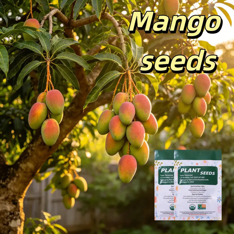 🔥 65K+ SOLD! 🥭 Sweet "Golden Honey" Dwarf Mango Tree Seeds (Grow at Home)-ABB8