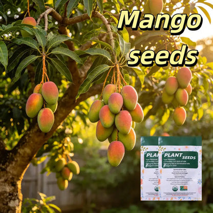 🔥 65K+ SOLD! 🥭 Sweet "Golden Honey" Dwarf Mango Tree Seeds (Grow at Home)-ABB8