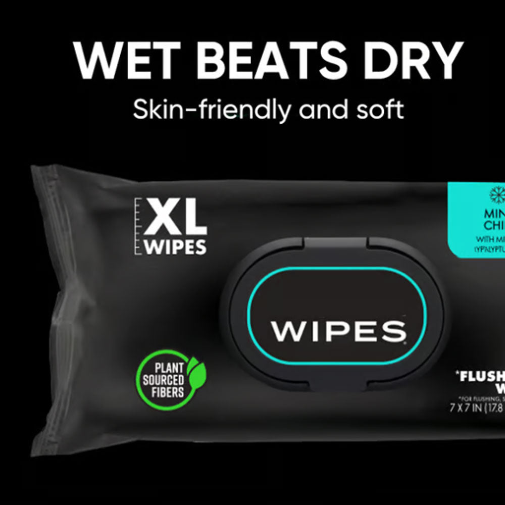 👑Hot Sale 49% OFF🏆Flushable Wet Wipes Pack 48 Sheets Large Unscented Adult Wipes with Vitamin E & Aloe Vera Safe for Septic Systems & Sewer Lines Biodegradable Cleansing Wipes-TJY