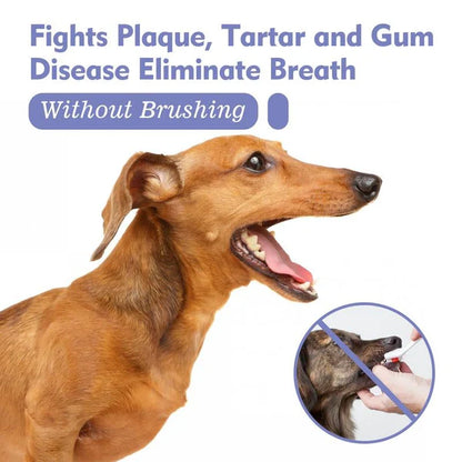 Pet Oral Care Spray – Fresh Breath & Cleaner Teeth, No Brushing Needed-W18