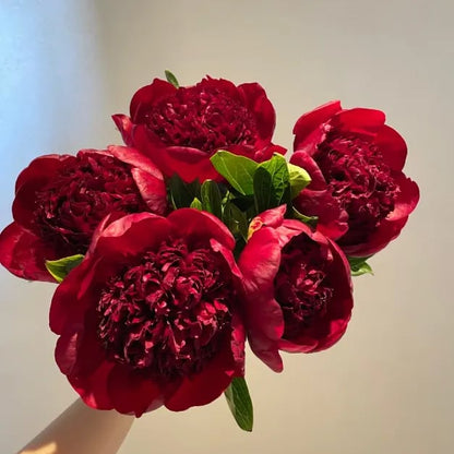 🔥LAST DAY 45% OFF🌺THE QUEEN OF FLOWERS—DOUBLE PETALED PIANI-923