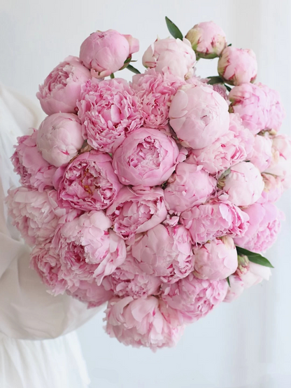 Colorful Peony Flower-Over 5 Colors.