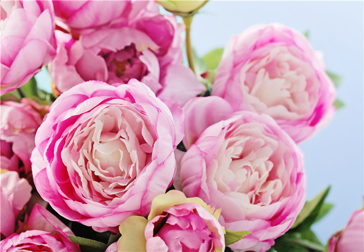 Colorful Peony Flower-Over 5 Colors.