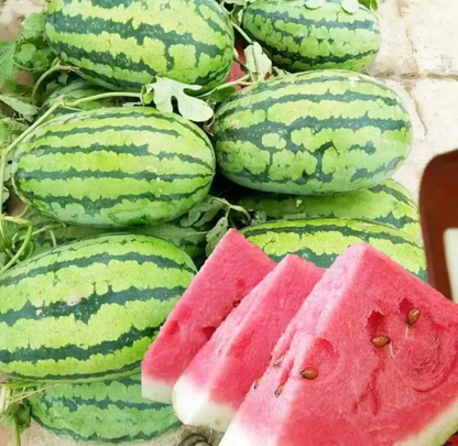 🍉 Lazy Watermelon Seeds