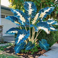 Blue Lightning