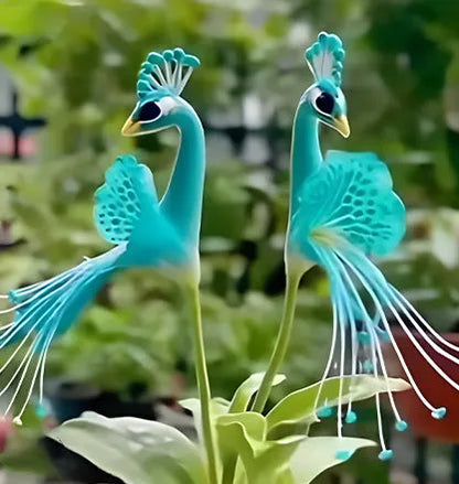 🔥Plus que 3 heures : 50 % de réduction sur les graines de fleurs de paon !🌺 Faciles à cultiver