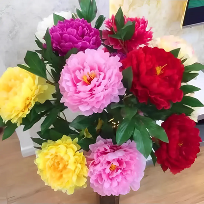🌸 Double Climbing Peony Vine Hardy Perennial Garden Climber for Indoor & Outdoor Beauty-923