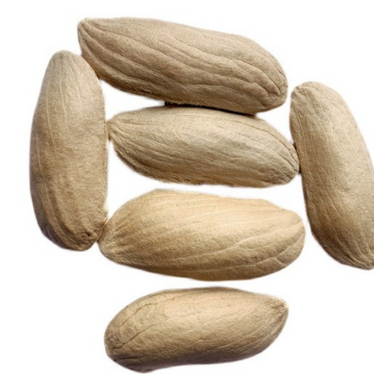 🔥 65K+ SOLD! 🥭 Sweet "Golden Honey" Dwarf Mango Tree Seeds (Grow at Home)-ABB8