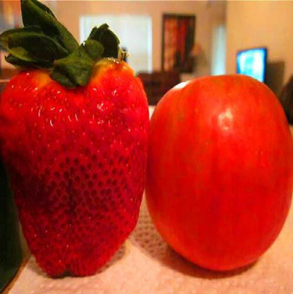 🏆75K+ SOLD! Rare Giant Strawberry Seeds 🍓 Grow Huge, Easy to grow-TJY