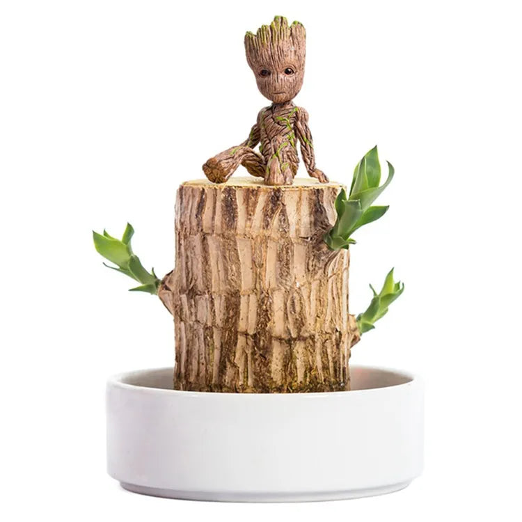 🏆65K+ SOLD!🌿Brazilian lucky trees, bring you luck and increase wealth, mysterious doll with base-TJY