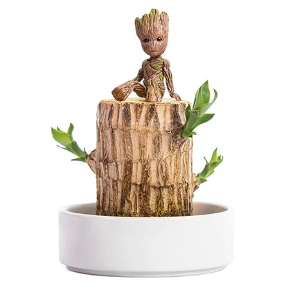 🏆65K+ SOLD!🌿Brazilian lucky trees, bring you luck and increase wealth, mysterious doll with base-TJY