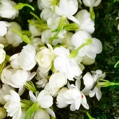50 Non-GMO Climbing Silver Jasmine Seeds - Aromatic Evergreen, Ideal Decor Choice for Garden & Balcony Fragrant-GD