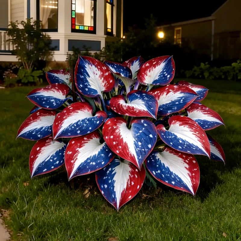 🎉Celebrate America's 250th 🌱Premium Rare Hosta Seeds🌿Shade-Tolerant Plant - GD