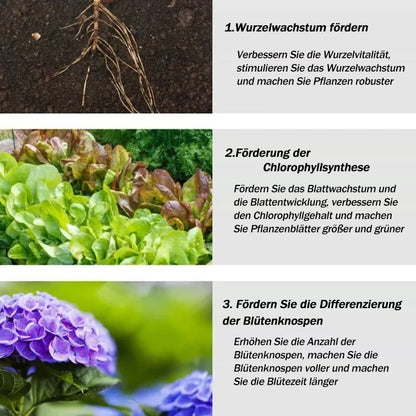 🔥All-purpose slow-release fertilizer for plants-W18