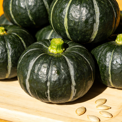 🎃 Beibei Pumpkin Seeds — Premium Mini Pumpkin-W18