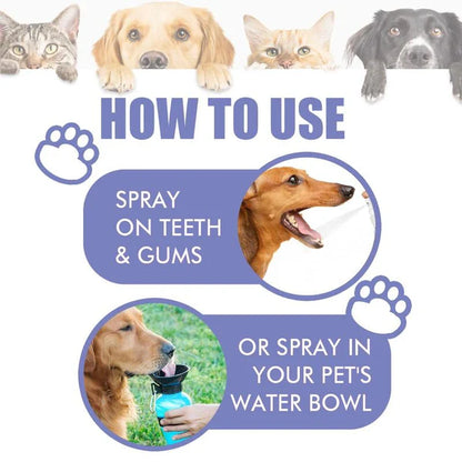 Pet Oral Care Spray – Fresh Breath & Cleaner Teeth, No Brushing Needed-W18