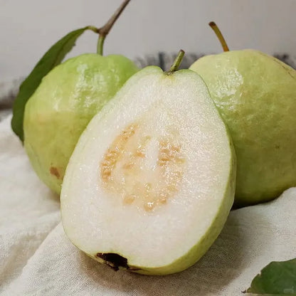 🔥 (New Harvest) Organic Pink Guava Seeds | 🌿Pre-Primed for High Germination (99% Germination)-XA