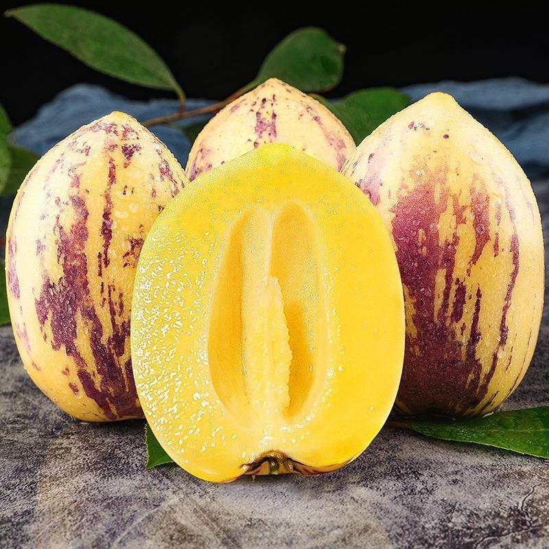 Pepino Melon Seeds for Planting,Sweet Pepino Seeds Non-GMO,Exotic Fruit Seed Heirloom for Outdoor Home Garden-A-923