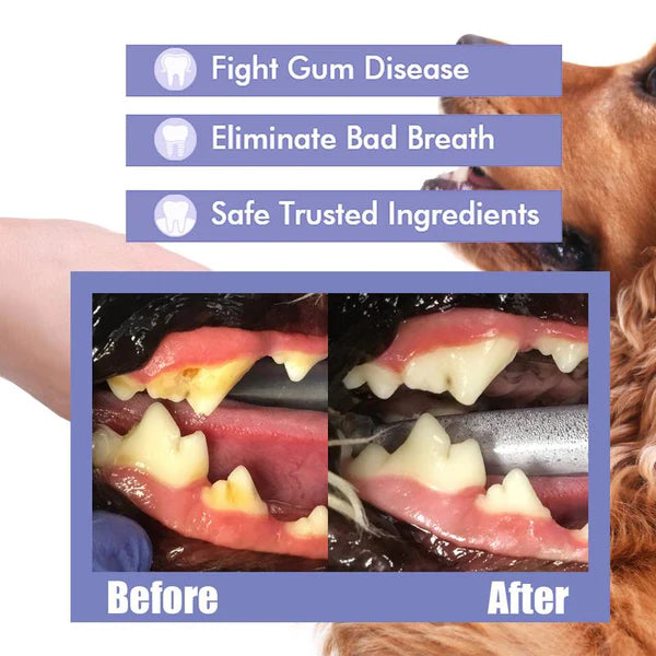 Pet Oral Care Spray – Fresh Breath & Cleaner Teeth, No Brushing Needed-W18