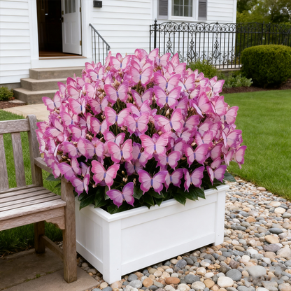 ✨Easy-to-Grow Seeds — Butterfly Blooms for a Living Garden-ABB8