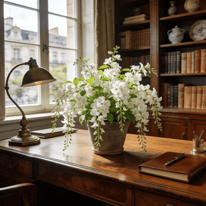 🏆Plus de 75 000 exemplaires vendus !🌿🌱Graines de jasmin non OGM : Semis à quatre saisons, fleurs aux senteurs douces et fraîches🌸-923