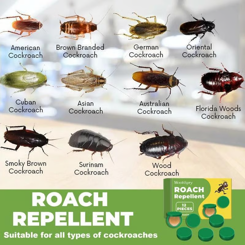 🎁LAST DAY 49% OFF🔥Moonspry Household Strong Cockroach Killing Gel-923