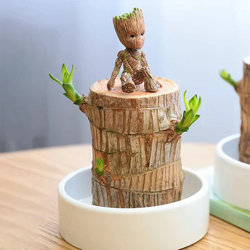 🏆65K+ SOLD!🌿Brazilian lucky trees, bring you luck and increase wealth, mysterious doll with base-TJY