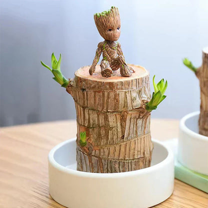 🏆65K+ SOLD!🌿Brazilian lucky trees, bring you luck and increase wealth, mysterious doll with base-TJY