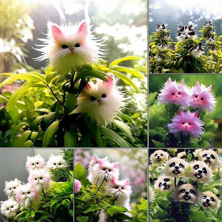 🔥Amazing Plants! 🌈🐱Cat's Eye Dazzle Flower-W18