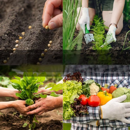✨2026 Spring special offer 70% off-Ultimate Survival Seed Vault (15000 Seeds) | 35 Variety Pack🌿|3-5 Year Shelf Life-GD