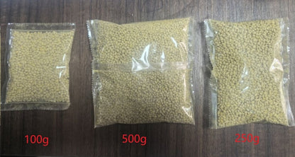🌱2026 Evergreen Dwarf Grass Seed | For Four Seasons - A926