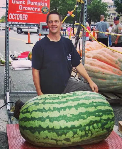 🔥🔥New Year 70% Off--🍉Lazy Man's Watermelon Seeds-W18