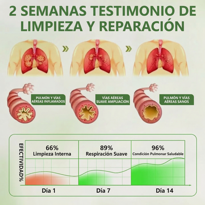❤️🎉Vervebead®BOTÁNICO CUIDADO PULMONAR DIFUSOR DE GORDOLOBO-XA