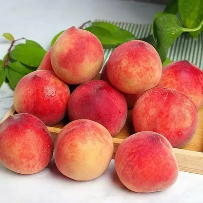 🔥50K+ SOLD!💟 Premium Pink Peach Seeds - 😋A Uniquely Delightful Taste-923
