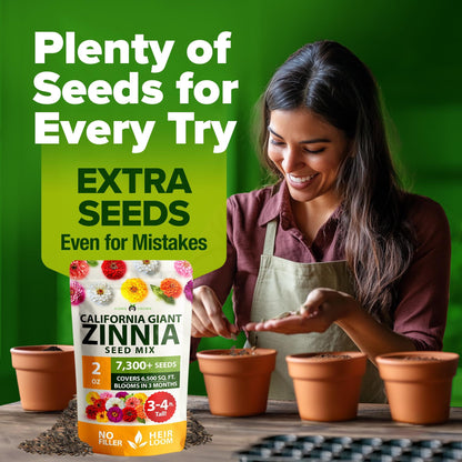 🔥Zinnia Seeds - Pure Seeds - No Filler - Heirloom Flower Seeds-923