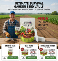 Buy 1 Get 1Free（DIY garden planting recommendations for organic vegetarian food lovers）