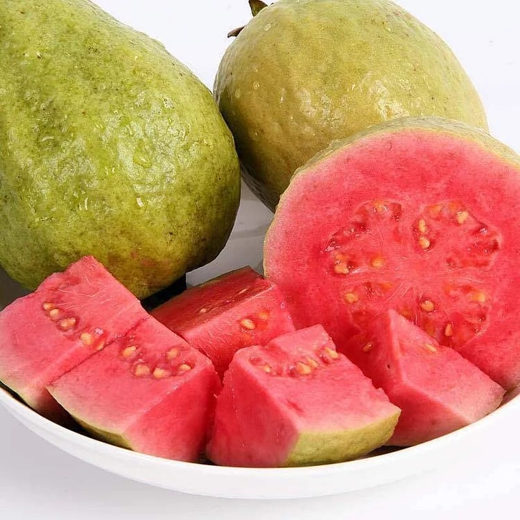 🔥 (New Harvest) Organic Pink Guava Seeds | 🌿Pre-Primed for High Germination (99% Germination)-XA