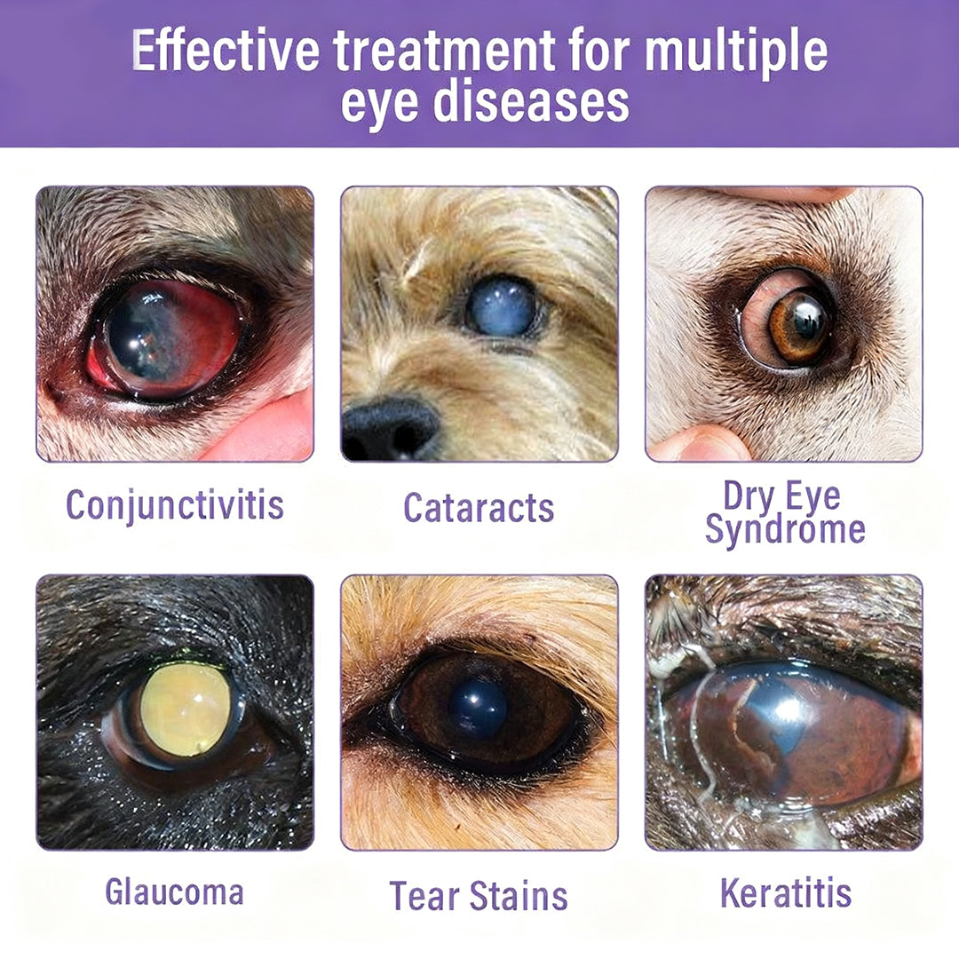 NanoCare Pet Eye Drops-Relieves Conjunctivitis, Dry Eyes, Cataracts, and Keratitis🐶-GD