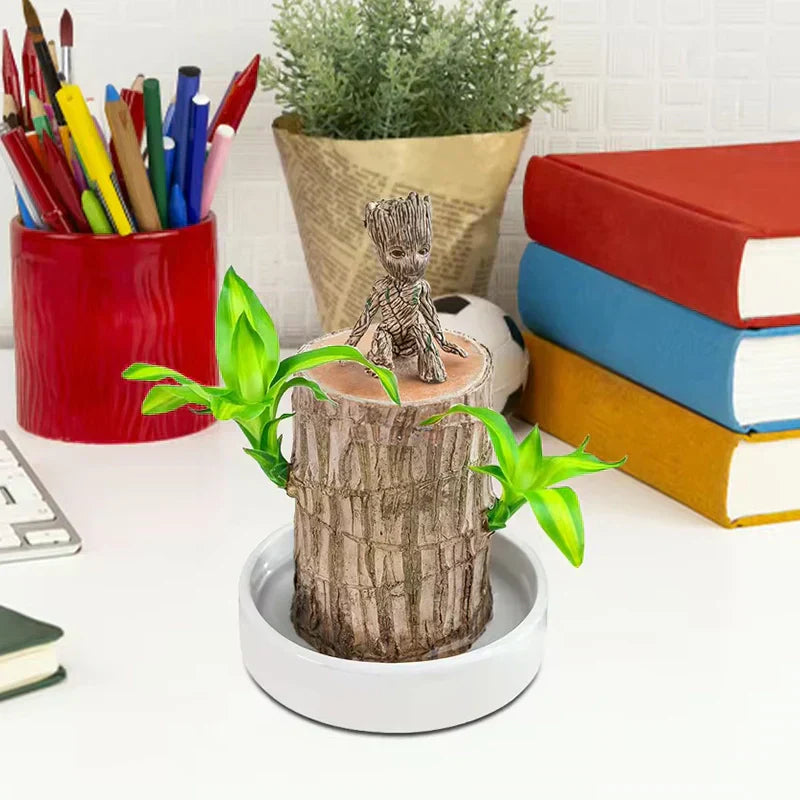🏆65K+ SOLD!🌿Brazilian lucky trees, bring you luck and increase wealth, mysterious doll with base-TJY