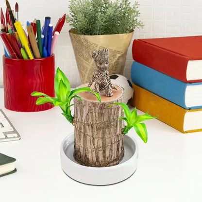 🏆65K+ SOLD!🌿Brazilian lucky trees, bring you luck and increase wealth, mysterious doll with base-TJY