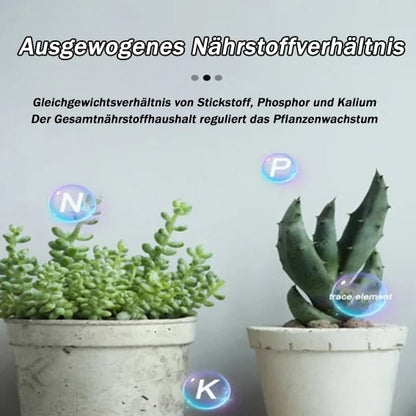 🔥All-purpose slow-release fertilizer for plants-W18