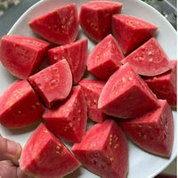 100 Red Heart Guava Seeds per Pack