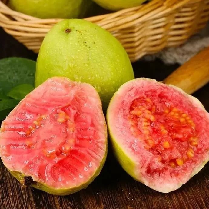 🔥 (New Harvest) Organic Pink Guava Seeds | 🌿Pre-Primed for High Germination (99% Germination)-XA