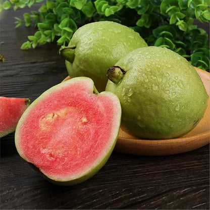 🔥 (New Harvest) Organic Pink Guava Seeds | 🌿Pre-Primed for High Germination (99% Germination)-XA