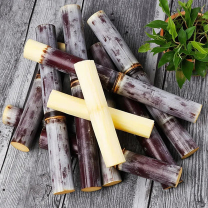 🌱 Grow Your Own Sugarcane – High Germination Seeds ✨ for Easy Home Gardens 🌿-H1